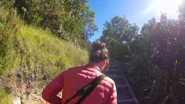 ⛰️ Climbing The Mount in Tauranga & Mt Maunganui – New Zealand's Biggest Gap Year смотреть онлайн