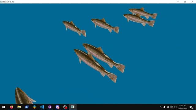 D and Raylib Fish Tank смотреть онлайн