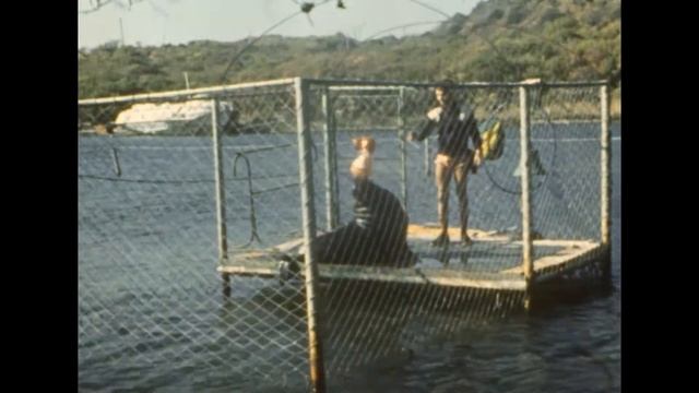 Новороссийск. Дельфинарий. Скалы. 1987 смотреть онлайн