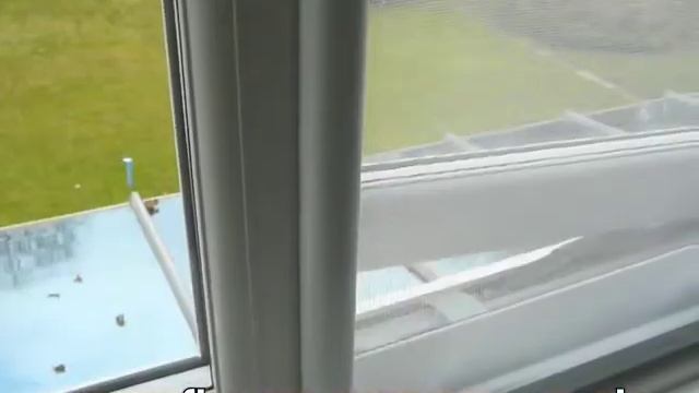 Flyscreen Budget Window Frame смотреть онлайн