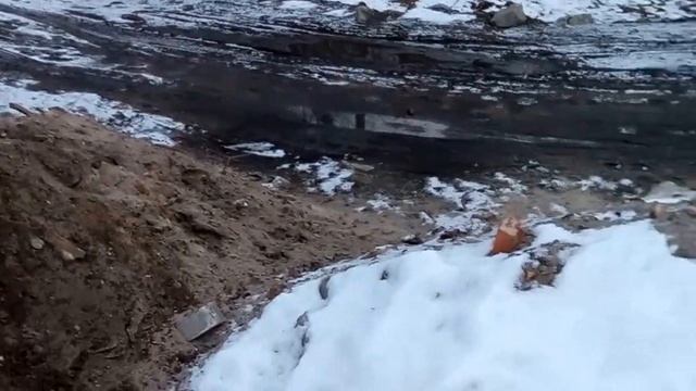 Покопали с Ace 350 и XP DEUS смотреть онлайн