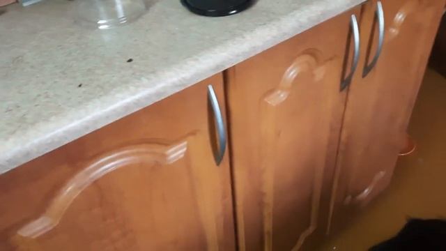 Vlog: МНЕ ОСТАВИЛИ МАЛЬЧИШЕК. И ЭТО СЧАСТЬЕ. смотреть онлайн