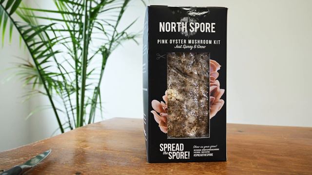 North Spore Spray & Grow Mushroom Kits | Setting-up and Maintaining Your Kit | FAQ Part 1 смотреть онлайн