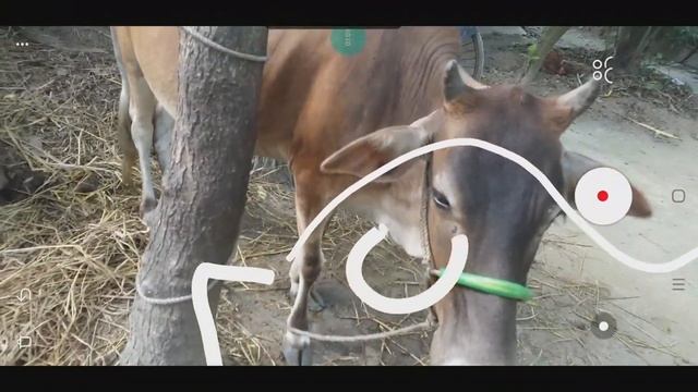 AR reality drawing app Hindi video/Aauraparti смотреть онлайн