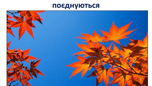 Теплі та холодні кольори — копия смотреть онлайн