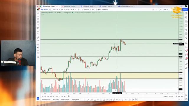 Какие монеты на старте? Тех анализ крипто рынка смотреть онлайн