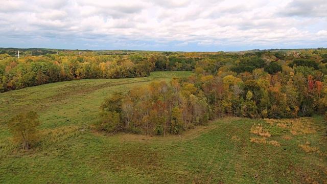 Early Fall Color With Autel Lite Plus смотреть онлайн