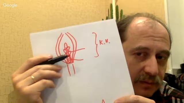 биология 6 класс смотреть онлайн