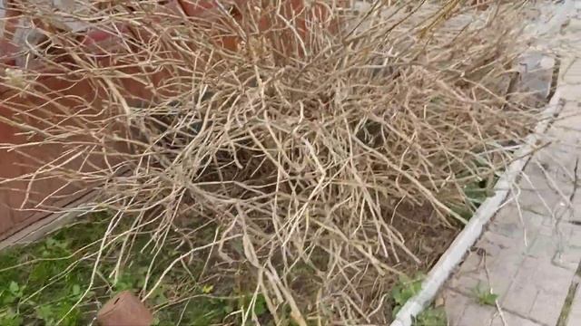 Дача. Апрель смотреть онлайн