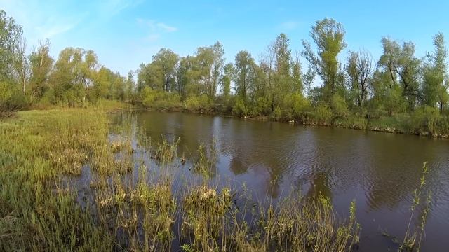 Закрытие сезона на селезня смотреть онлайн