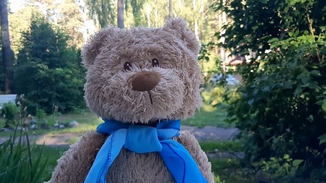 ПУЗИК - НЕ ШОУ. Пузик читает стихи ?? смотреть онлайн