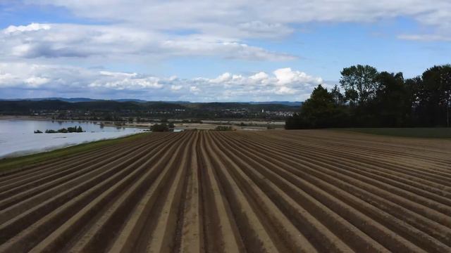 Mit Leidenschaft Gemüsebauer. Biotta Bauer Lorenz erzählt. смотреть онлайн