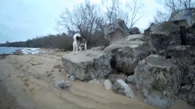 Санкт -Петербург остров Котлин форт Шанец смотреть онлайн