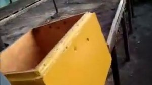 Обработка ульев внутри маслом (опыт удался)