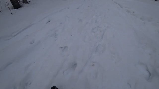 Стрежевой. Городской парк 05.04.2021 смотреть онлайн