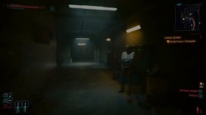 Как завести кошку в Cyberpunk 2077