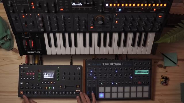 A Sampler, Synth, and Drum machine.. All you need! // A Compact Creation with this Dawless Setup смотреть онлайн