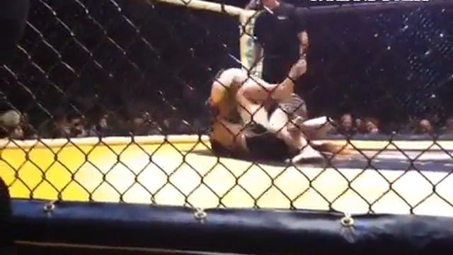 MMA fighters throw down at Joe Louis Arena #mma смотреть онлайн