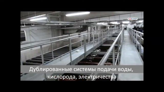Комплексные интегрированные решения для аквакультуры (Аquamaof Poland) смотреть онлайн