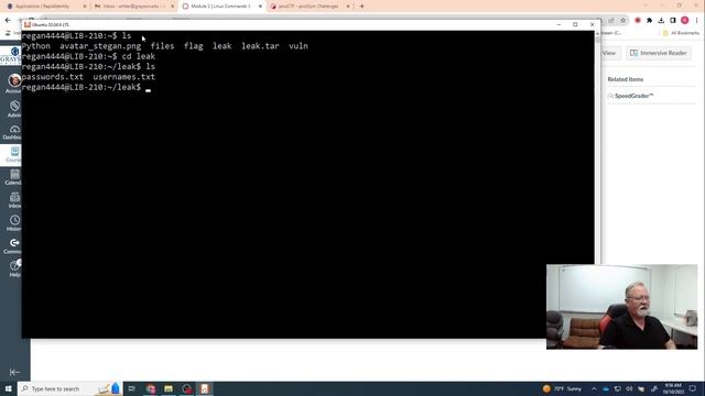 Linux Commands 3 - Grep and Sed смотреть онлайн
