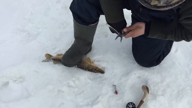 Щука в запрет 2.... смотреть онлайн