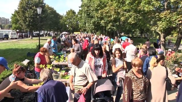 Выставка-ярмарка «Янтарная гроздь винограда-2020» прошла в Пинске смотреть онлайн