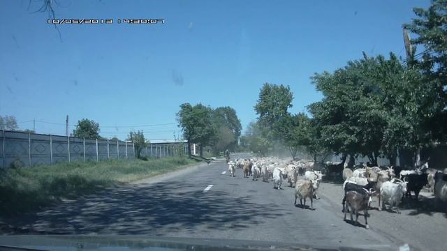 Особенности дорожного движения в Румынии