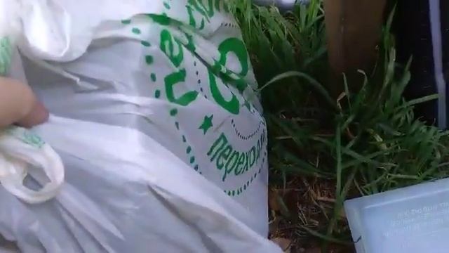 ОБЗОР/ Бензиновый триммер Минск БГ-4500/Витязь???? #триммер смотреть онлайн