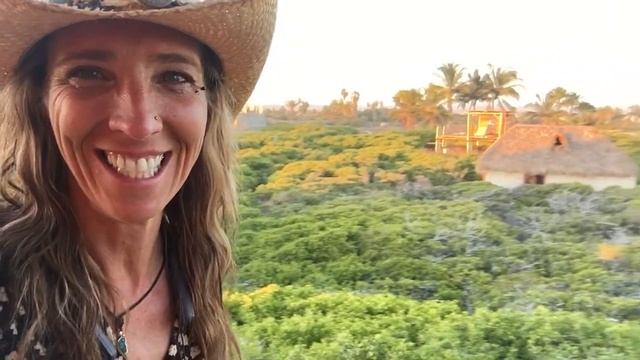 Todos Santos Baja Mexico смотреть онлайн