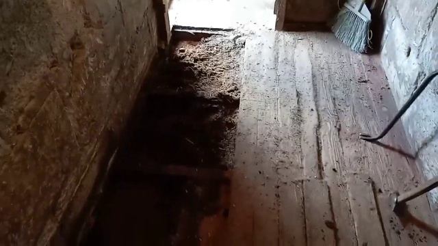 Деревянные полы в свинарнике спустя два года. смотреть онлайн