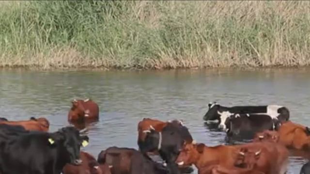 Большая река смотреть онлайн
