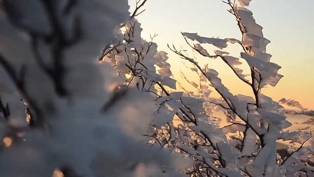 Зимнее солнцестояние 21.12.2021☀️❄️ #обряды #солнцестояние #декабрь #зимнеесолнцестояние #зима2022 смотреть онлайн