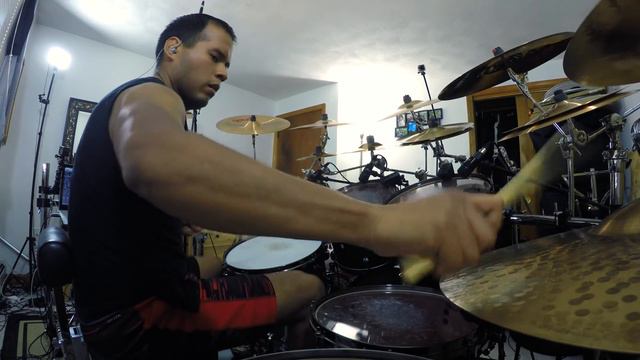 Gojira - The Art of Dying (Drum Cover) смотреть онлайн