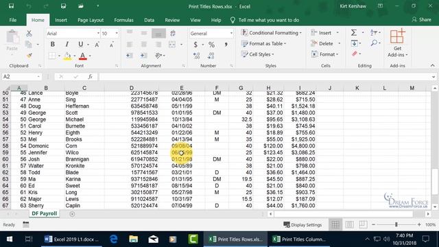 Microsoft Excel 2019: Print Row and Column Page Titles смотреть онлайн