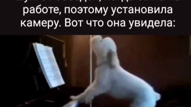 Артист смотреть онлайн