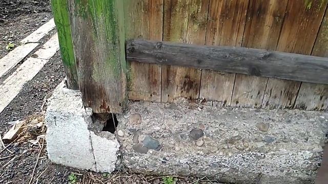Обживаемся в деревне. Купили плаху на забор. #деревня,#самисвоимируками, #своимирукамтвдеревне. смотреть онлайн