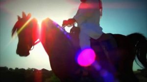 ВИА Самоцветы - Удивительные кони.