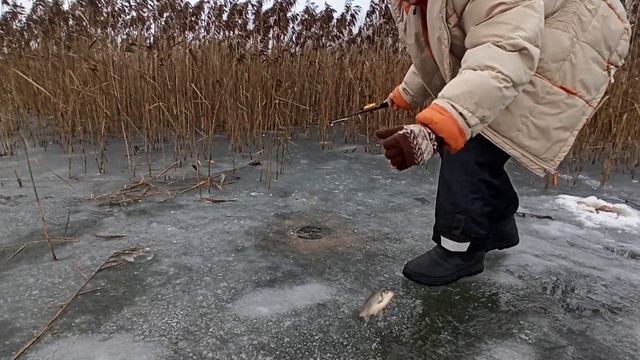 КАРАСЬ ЗИМОЙ! Ловим карася на поплавки и мормышку! смотреть онлайн