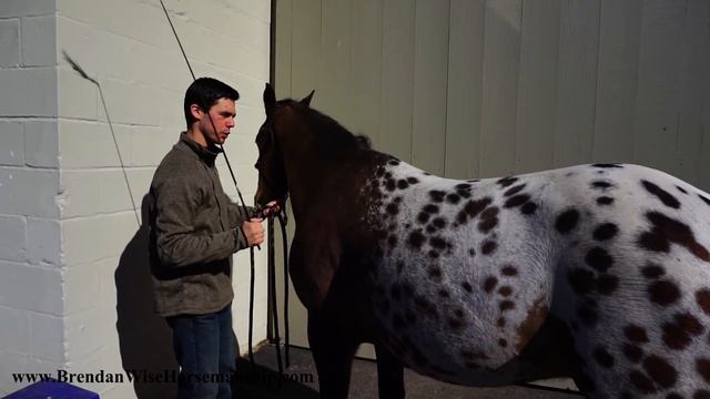 Mounting Lesson Part 1