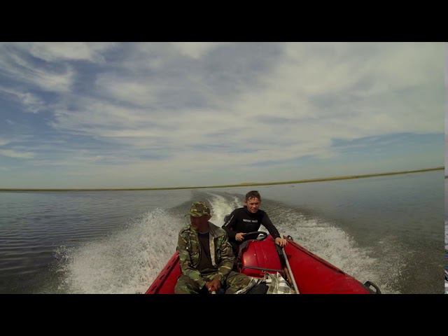 4 августа 2020 г. смотреть онлайн