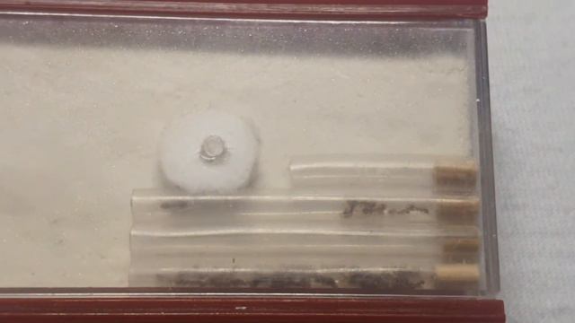 Temnothorax и Формикарий своими руками. смотреть онлайн