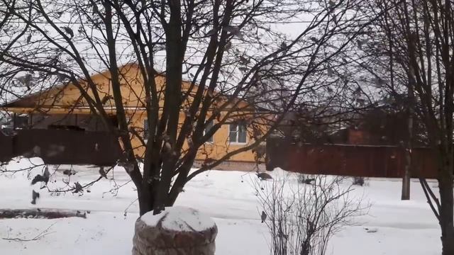 Свиристели в городе смотреть онлайн