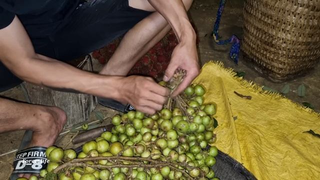 Harvest Figs, Rambutan, Bring To Market To Sell, Forest Life