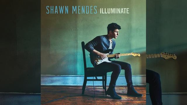 Shawn Mendes - Treat you better (Instrumental + Backing vocals) смотреть онлайн