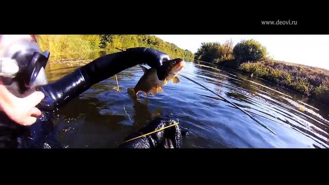 Подводная охота в Орловской области (Full HD) смотреть онлайн