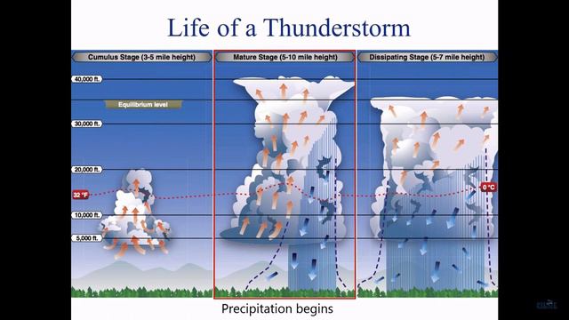 Week 1 Day 5 Recording смотреть онлайн