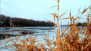 Пробный выезд на зимнюю Астраханскую воблу. Рыбалка в Астрахани. Зимняя рыбалка 2021.