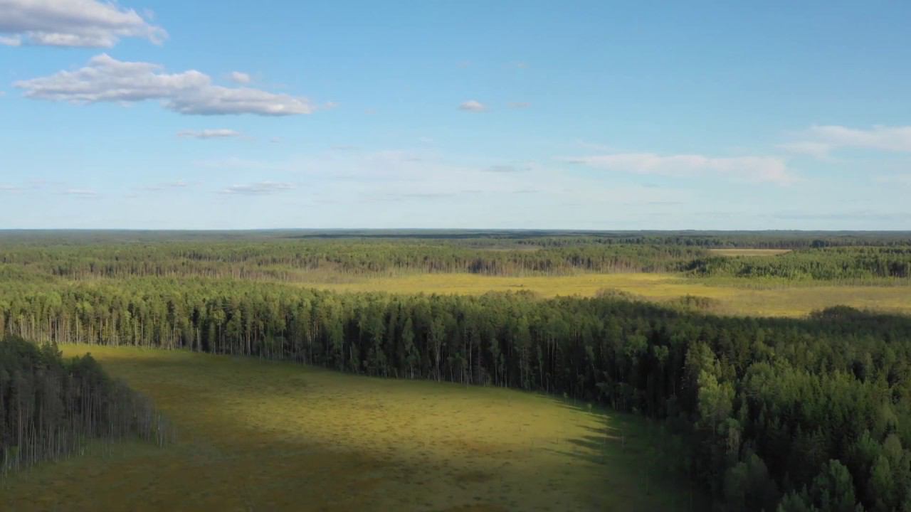 болота