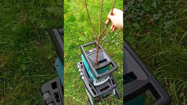 Садовый измельчитель веток Makita UD2500 #makita #дача #сад #ветки #измельчительветок #gardentool смотреть онлайн