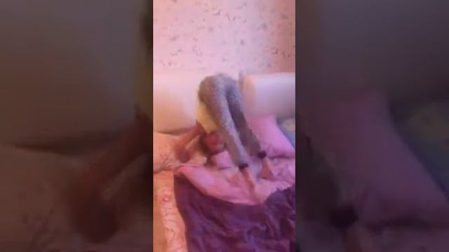 Как стоять на руках у стенки! смотреть онлайн